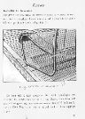 sid. 31