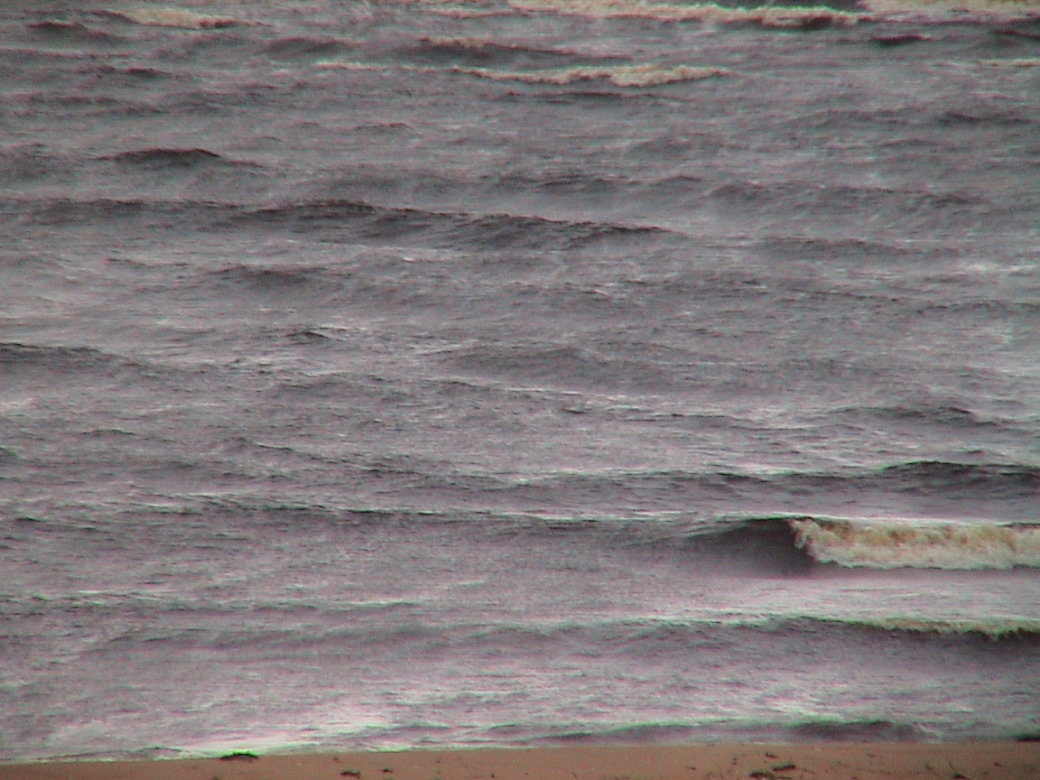 DSC00336.JPG