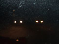 DSC00109.JPG