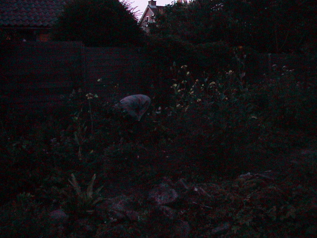 DSC00013.JPG