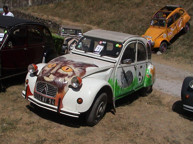 DSC00206.JPG