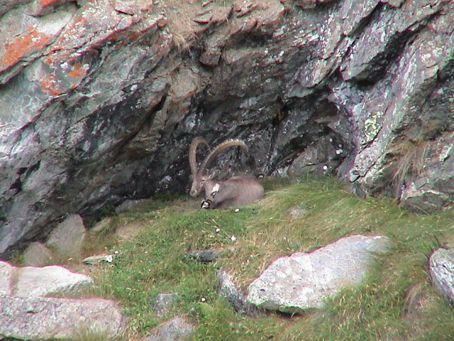 DSC00063.JPG