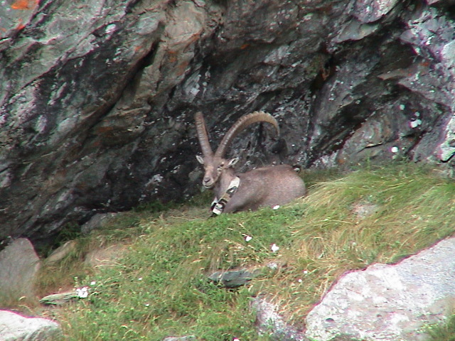 DSC00064.JPG