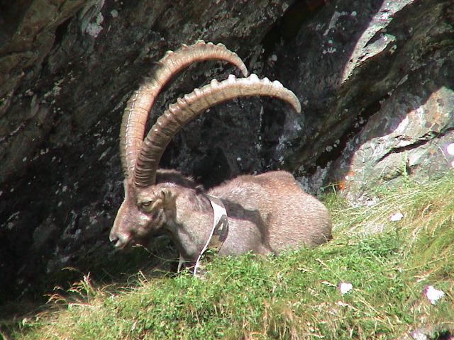 DSC00068.JPG