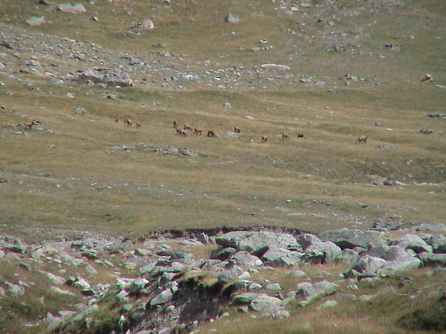 DSC00073.JPG