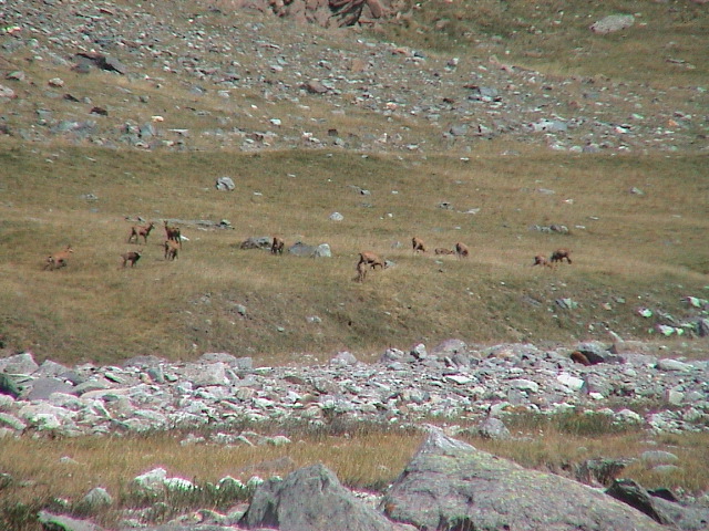 DSC00074.JPG