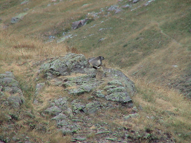 DSC00081.JPG