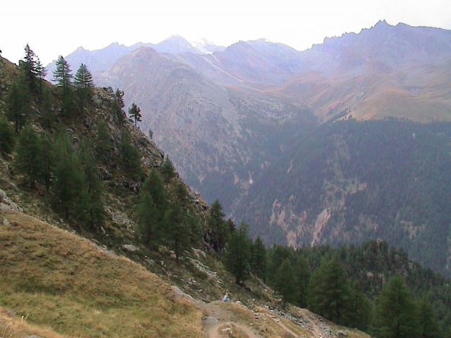 DSC00087.JPG