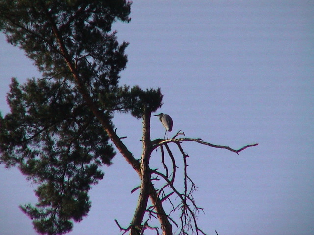 DSC00116.JPG