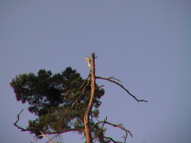 DSC00117.JPG