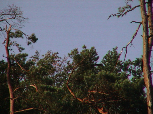 DSC00118.JPG