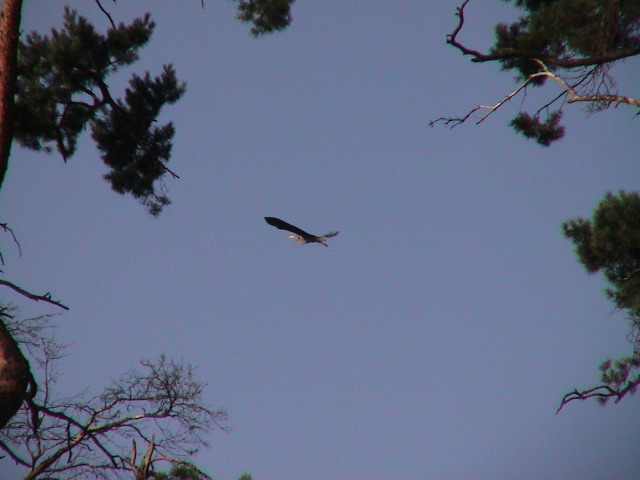 DSC00119.JPG