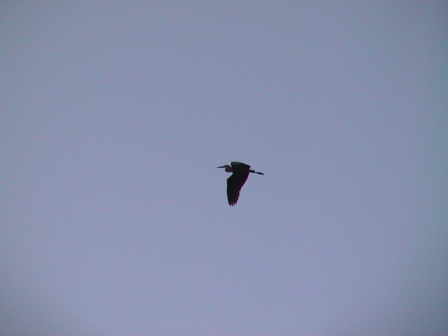 DSC00120.JPG