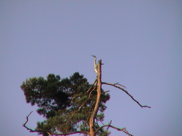 DSC00121.JPG