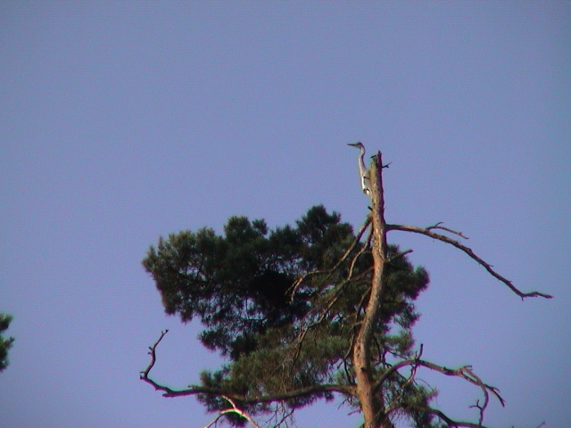 DSC00122.JPG