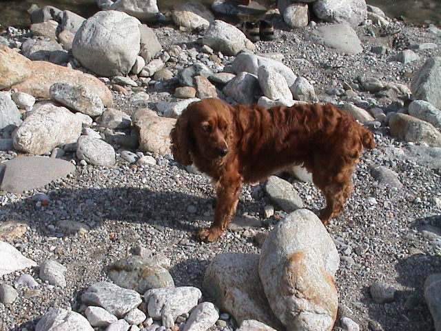 DSC00080.JPG