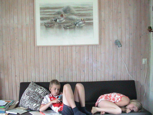 DSC00011.JPG