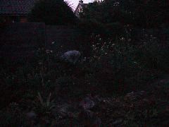 DSC00013.JPG