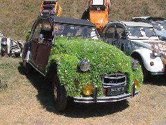 DSC00199.JPG