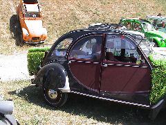 DSC00200.JPG