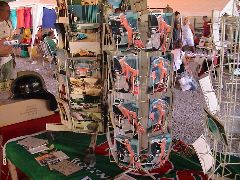 DSC00222.JPG