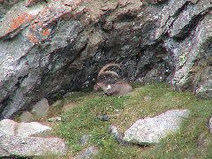 DSC00061.JPG