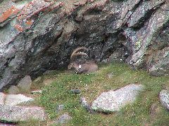 DSC00062.JPG
