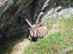 DSC00066.JPG