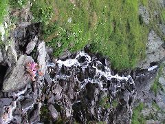 DSC00104.JPG