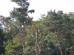 DSC00115.JPG