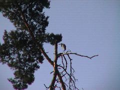 DSC00116.JPG
