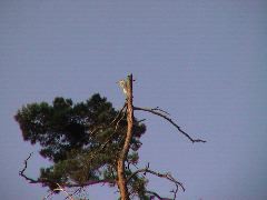 DSC00117.JPG