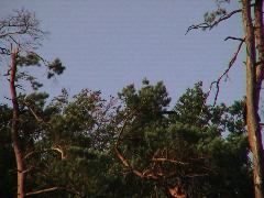 DSC00118.JPG