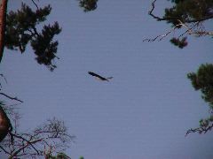 DSC00119.JPG