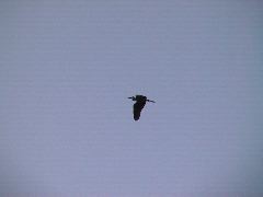 DSC00120.JPG