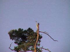 DSC00121.JPG