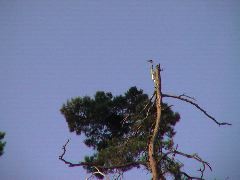 DSC00122.JPG