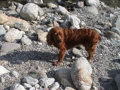 DSC00080.JPG